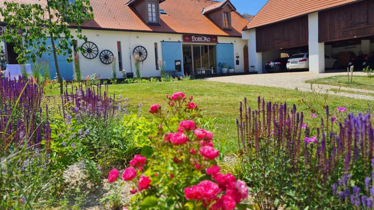 Wellness Bozi Oko Pensjonat 4*